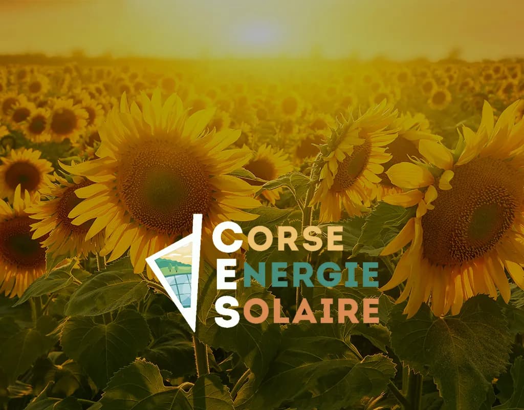 Solutions innovantes pour l'énergie solaire en Corse et économies garanties